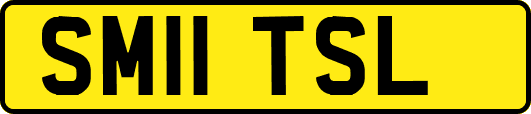 SM11TSL