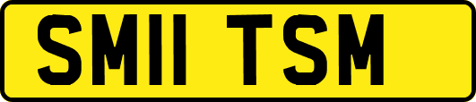 SM11TSM