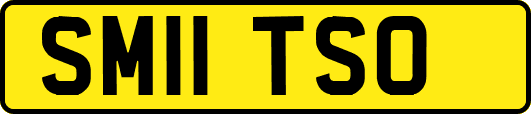 SM11TSO