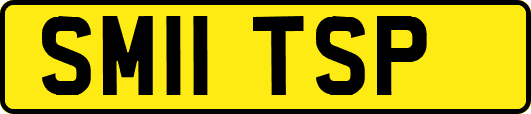 SM11TSP