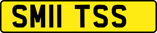 SM11TSS