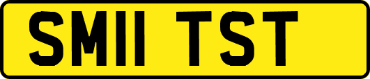 SM11TST