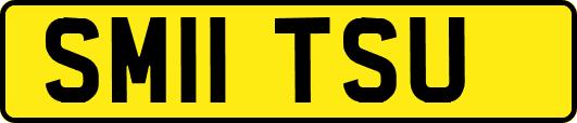 SM11TSU