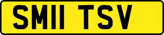 SM11TSV