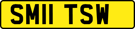SM11TSW