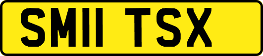SM11TSX