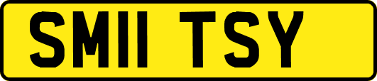 SM11TSY