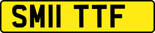SM11TTF