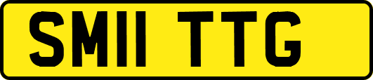 SM11TTG