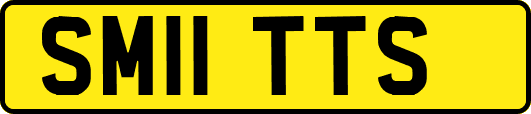 SM11TTS