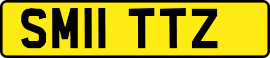 SM11TTZ