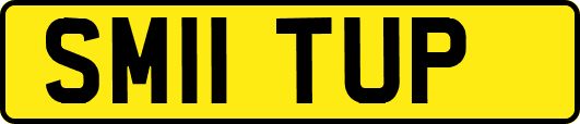 SM11TUP