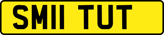 SM11TUT