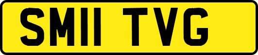 SM11TVG