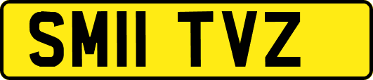 SM11TVZ