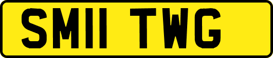 SM11TWG