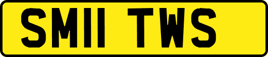 SM11TWS