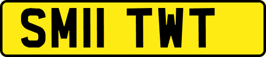 SM11TWT