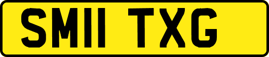 SM11TXG