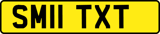 SM11TXT