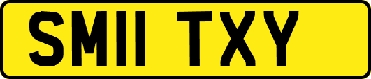 SM11TXY
