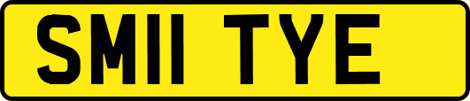 SM11TYE