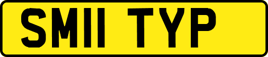 SM11TYP