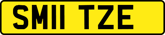 SM11TZE
