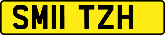 SM11TZH