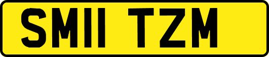 SM11TZM