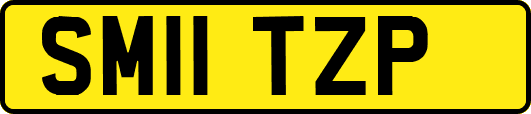 SM11TZP