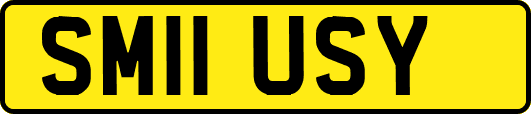 SM11USY