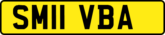 SM11VBA