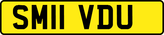 SM11VDU