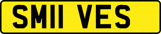 SM11VES