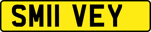 SM11VEY