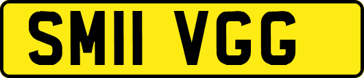SM11VGG