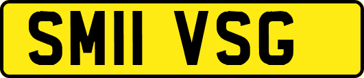 SM11VSG
