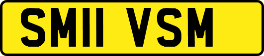 SM11VSM