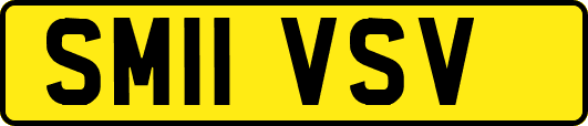 SM11VSV