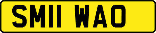 SM11WAO
