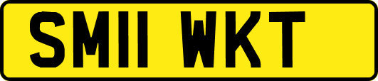 SM11WKT