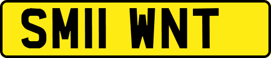 SM11WNT