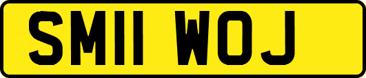 SM11WOJ