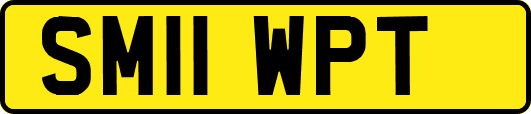 SM11WPT