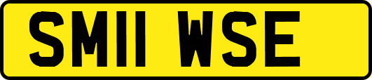 SM11WSE