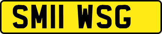 SM11WSG
