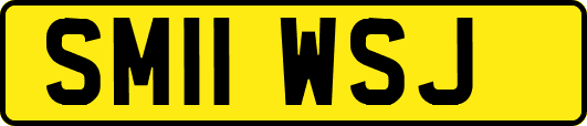 SM11WSJ