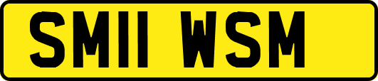 SM11WSM