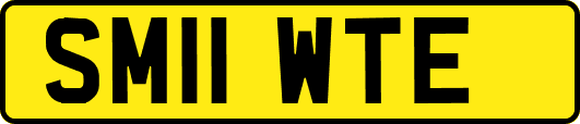 SM11WTE
